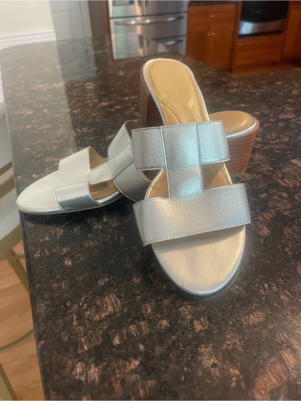 Talbots Metallic Silver Slide Sandals with Stacked Heel